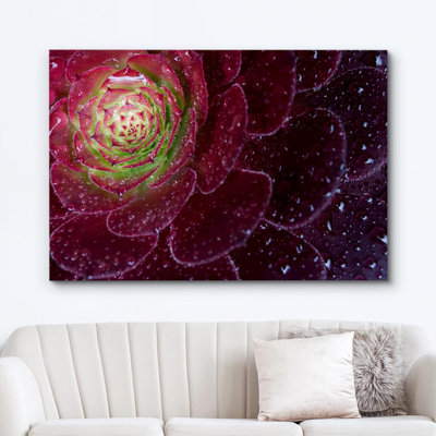 «High Contrast Vibrant Red Lilypad Cactus Succulent Floral Photographie Botanical Zen Rustic Decor» sur