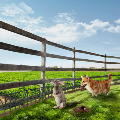 15'' H x 24'' W Animal Anti-digging Barrier Fence Rustproof Decorative Garden Fence