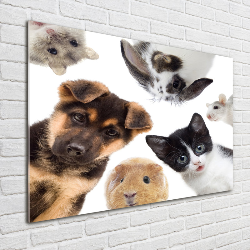Pets - No Frame Print on Glass