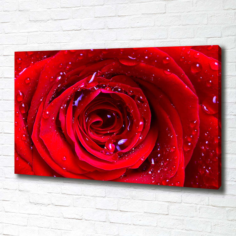 Rose Flower - Wrapped Canvas Print