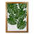 Honey Oak Frame