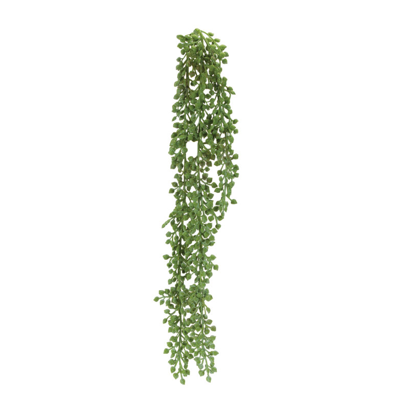 Succulent Stem