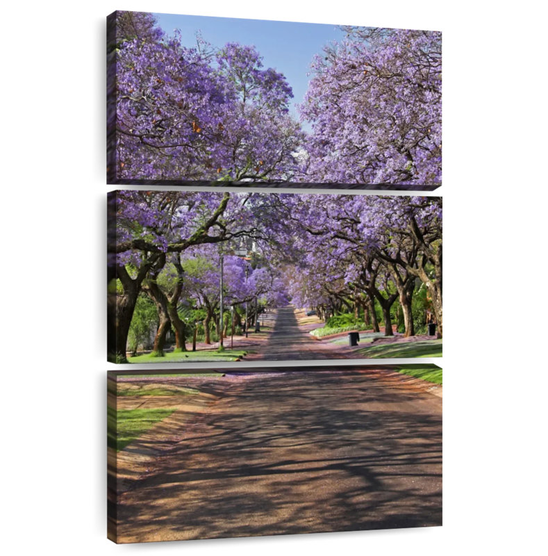 Sireci Jacaranda Trees, 23" H x 14" W