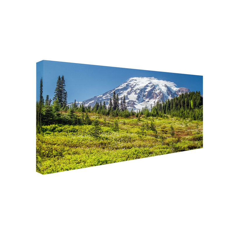 «Iovita Mount Rainier Meadow» par Pierre Leclerc - reproduction de photo sur toile tendue, H 24 po x l 47 po x P 2 po