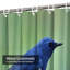 Magnifique rideau de douche bleu avec 12 crochets-1278153291