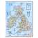 National Geographic Maps Britain and Ireland Wall Map | Wayfair