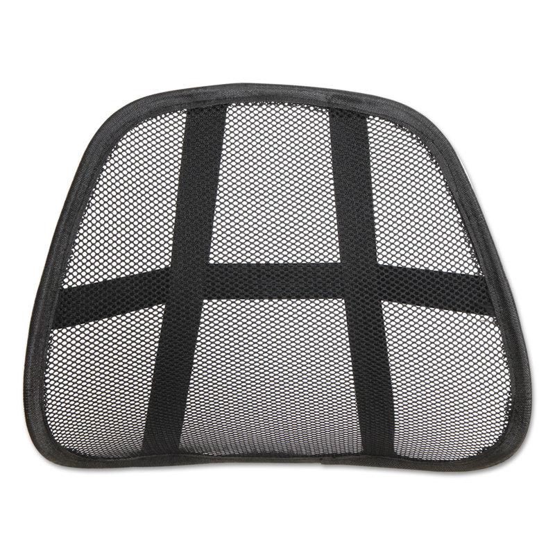 Mesh Back Support