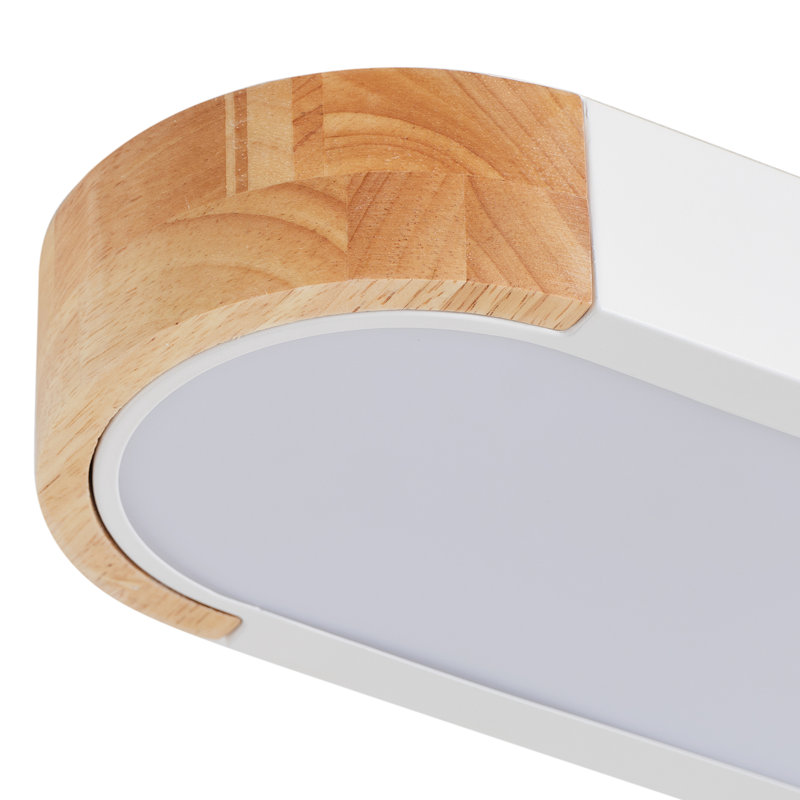 1-Dumb white LED dimmable ceiling light