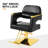 Lowanda Backed Adjustable Height Ergonomic Active Stool Footring