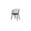 Blend Patio Dining Armchair with Cushion-55841069-56109744