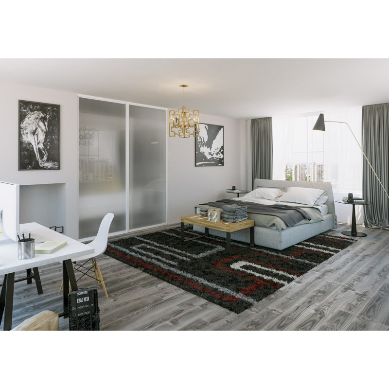 Garde-robe coulissant en verre givré à 2 panneaux, 60 po x 80 po, Blanc mat
