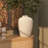 Cream Ceramic Textured Decorative Vase with Linear Pattern-1283067446