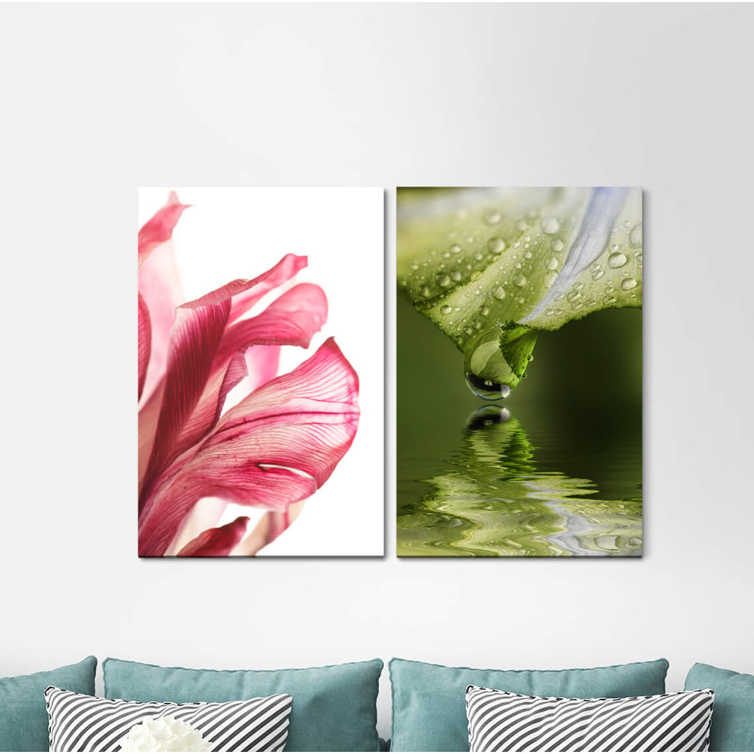 2-tlg. Leinwandbilder-Set - Fotografie „Blossom Water Water Drops Drops Flower Green Refreshing”