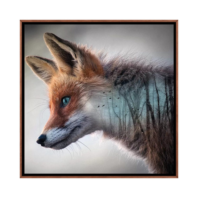 Forest Fox by Paul Haag - Print on Canvas, Classic Brown Wood Framed, 45.72 cm H x 45.72 cm W