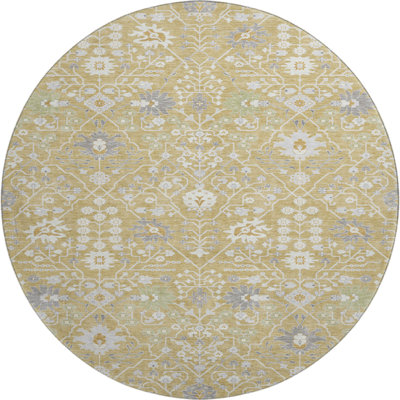 Premium Machine Washable Colmenero AMF1009 Oriental Rug