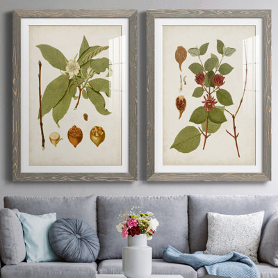 " Antique Leaves I " 2 - Pieces Painting Print