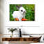 Lapin mangeant une carotte-107921898