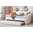 Tufted Upholstered Daybed With Trundle ,Velvet Sofabed With Usbwithtype-C Charging Ports,No Box-Spring Needed-1979541687