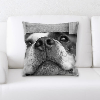 Coussin pour chien