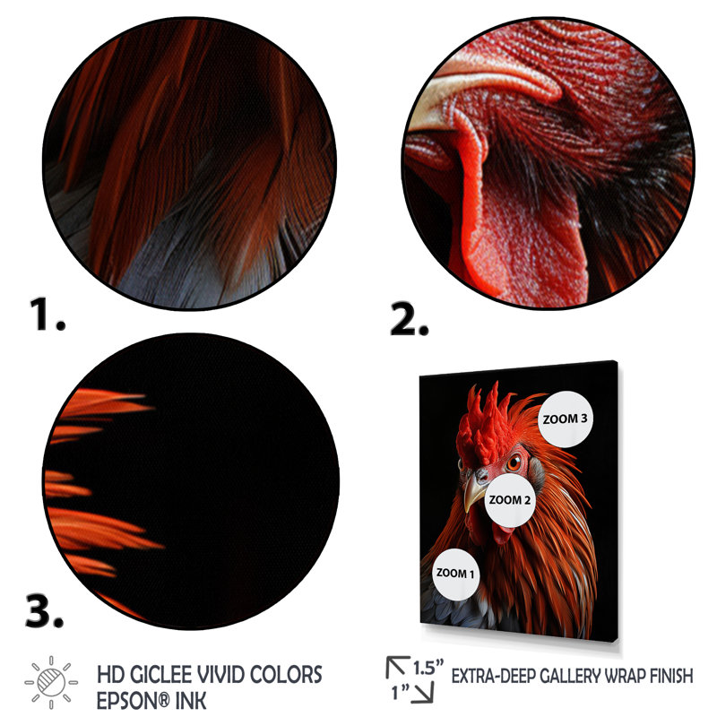 " Brown Rooster Closeup Portrait ", Gold Picture Framed, 20" H x 12" W x 1" D