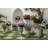 Geranium Urn Filler-123788743
