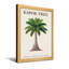 Plantes et fleurs Kapok Tree Botanical Illustration-1835124002-1835124013-1835124014