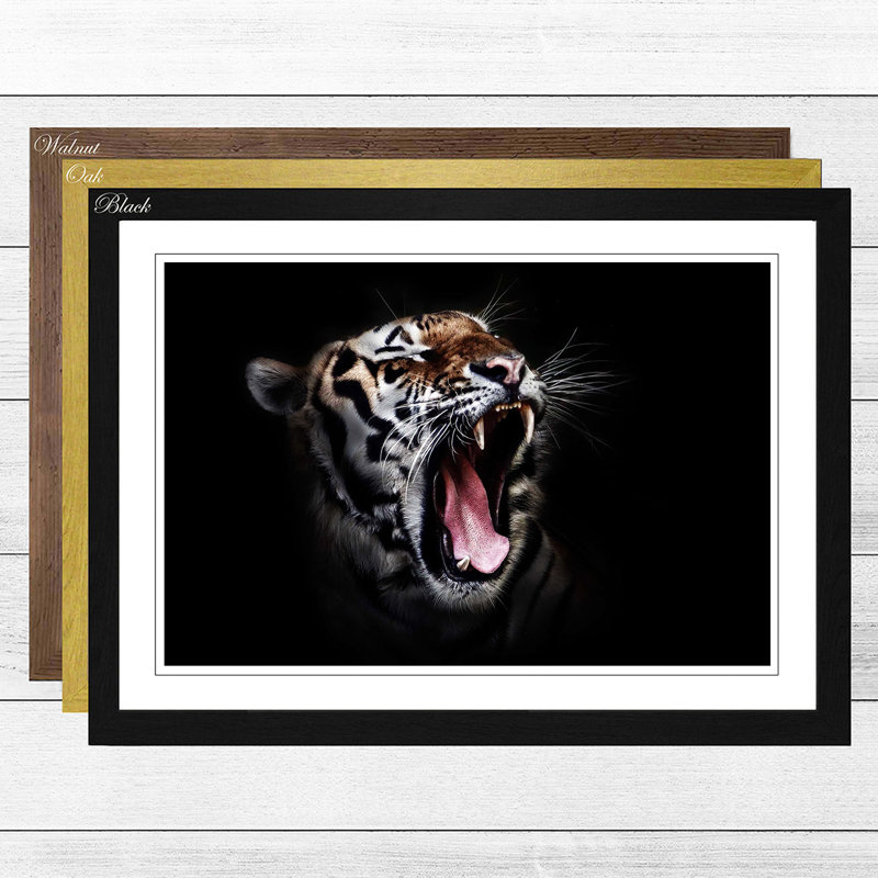 Tiger Framed Photographic - Framed Print, Black