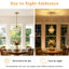 - Light Pendant-312822953