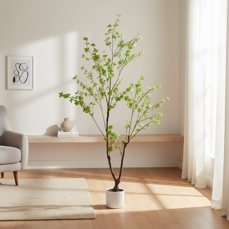 Enkianthus japonais en pot 78 po Everleaf
