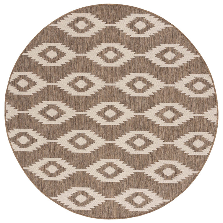 Abbigail Southwestern Indoor/Outdoor Area Rug