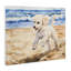 «Poodle's Journey on Beach», conception par Svetlana Aleynikova-124709337