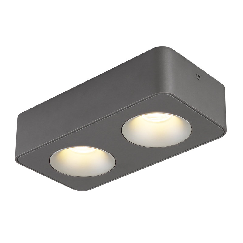 Alguire Plastic LED Spotlight