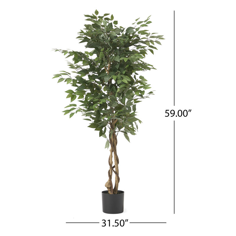70.9'' Faux Ficus Tree in Pot, 59" H x 31.5" W x 31.5" D