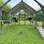 Grand enclos extérieur pour chat Catio