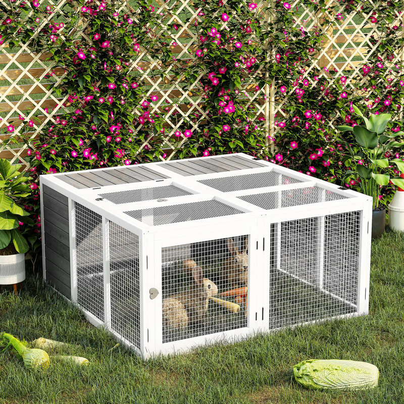 Lapin extérieur gris, cage en bois avec cage intérieure spacieuse et couvercle de cochon d'Inde pliable, intérieur de fenêtre de toit