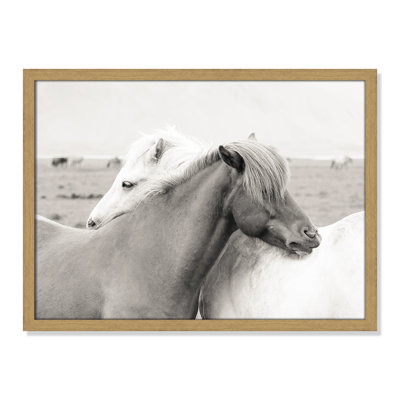 Melanie "Icelandic Meadow Horses" Print