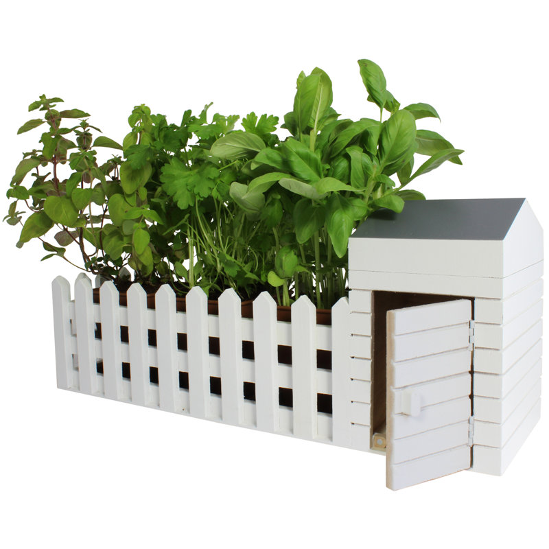 Oliphant with Herbs Seeds Included