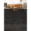 Wool Oriental Area Rug in Black/Green/Rust