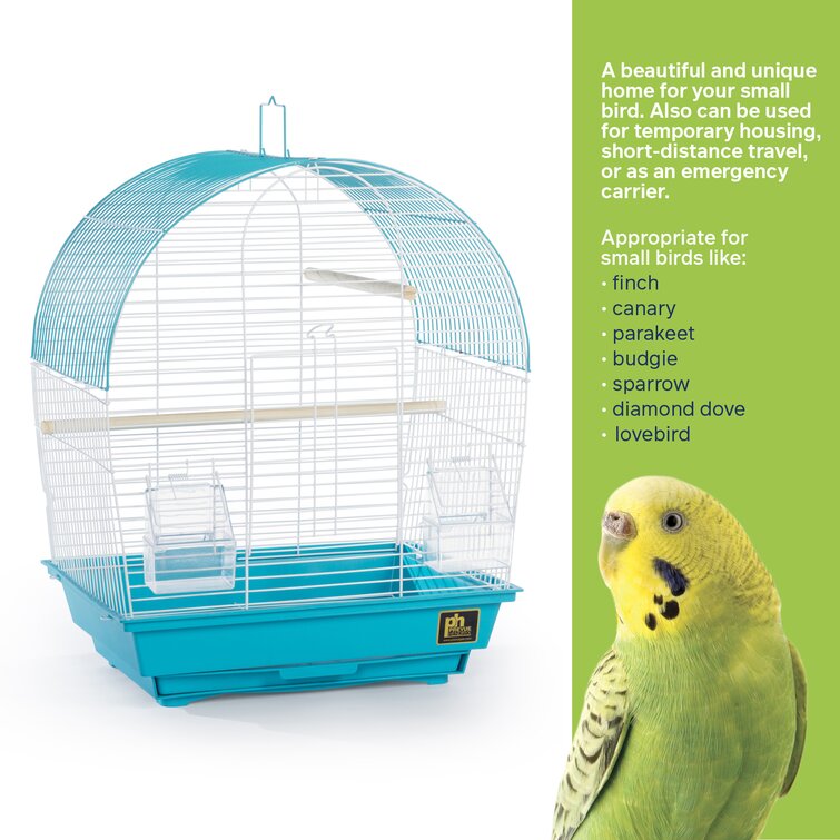 Tucker Murphy Pet™ Tanya 18 Victorian Table Top Bird Cage with Perch &  Reviews - Wayfair Canada
