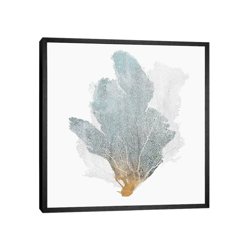 Delicate Coral II by Isabelle Z - Print on Canvas, 93.98 cm H x 93.98 cm W, Black Framed
