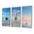 Brown Floater Framed