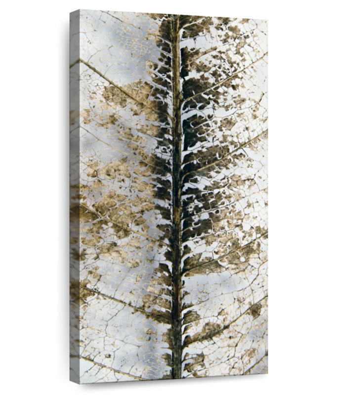 Leaf Structure, 30" H x 15" W