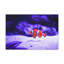 No Frame Print on Canvas-123395087