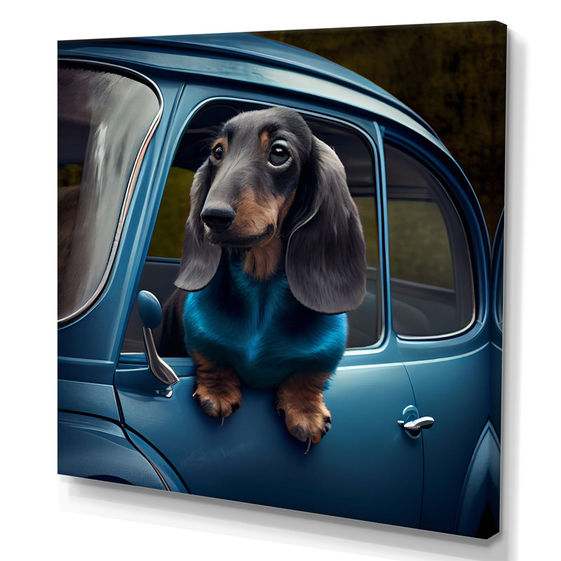 Portrait d'un teckel dans une voiture bleue III - reproduction sur toile, H 30 po x l 30 po x P 1 po, Toile tendue