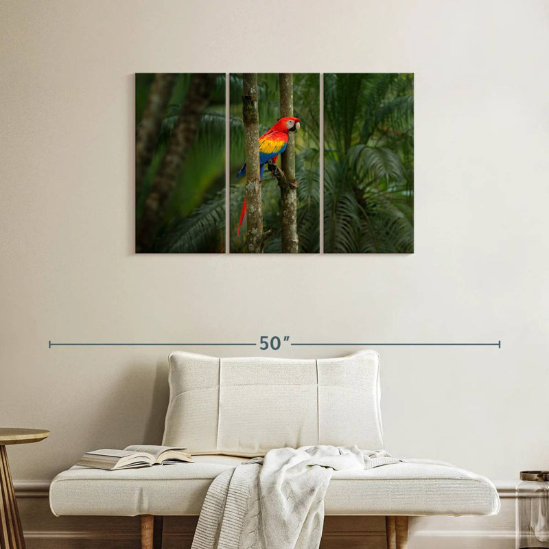 Brampt Wild Scarlet Macaw, 24" H x 38" W