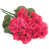 Rouge rose