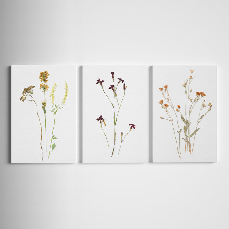 Pressed Botanical I - Ensemble de 3 reproductions sur toiles tendues, H 18 po x l 36 po x P 1,5 po