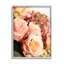 Rose rose, fleurs et géraniums, bouquet de printemps-65639693-65639694