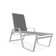 Holna Outdoor Rust-Resistant Metal Chaise Lounge