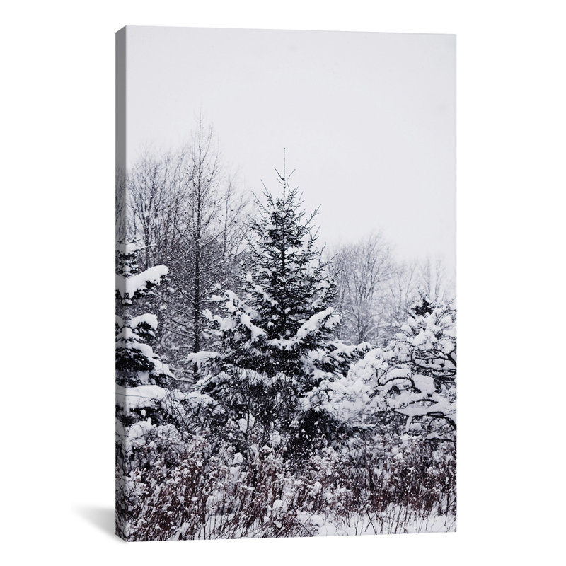 « winter pins », reproduction de photo, Toile, H 18 po x l 12 po x P 1,5 po